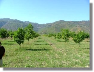 Trkei Grundstck bei Ortaca