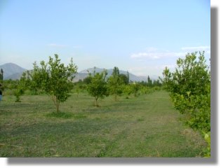 Trkei Ortaa Mugla Grundstck