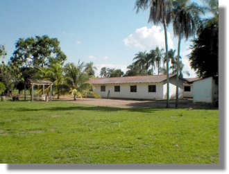 Rinderfarm Estancia in Bolivien, Farm Ranch f�r Viehzucht