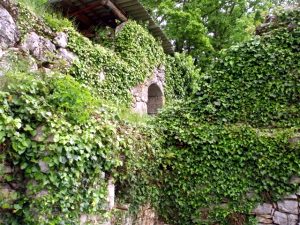 Ruine zum Ausbau auf dem Grundstck