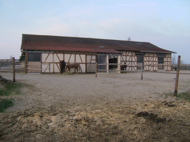 Pferdestallung und Koppel zum Landhaus