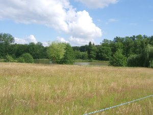 Franche-Comte Landhaus mit Pferdehaltung in Frankreich