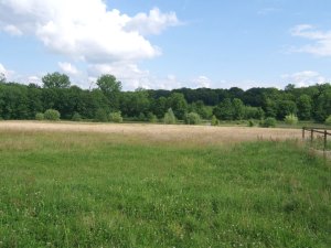 Landsitz zur Pferdehaltung in Frankreich zum Kaufen