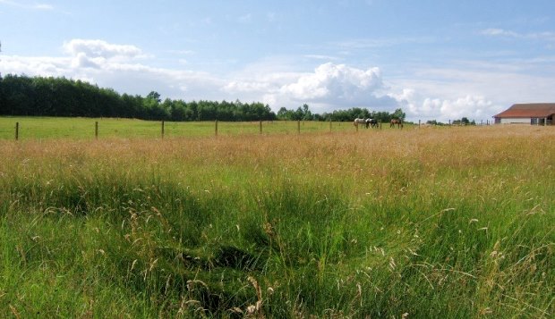 Grundstck vom Landhaus