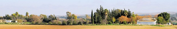 Finca in Jerez Spanien kaufen vom Immobilienmakler