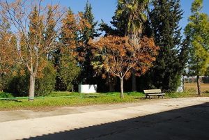 Finca in Jerez de la Frontera Spanien