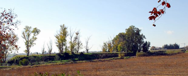 Finca Grundstck in Jerez