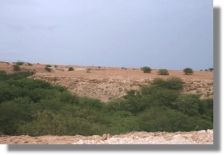 Grundstück auf Maio bei Vila do Maio Grundstück auf Maio bei Vila do Maio
