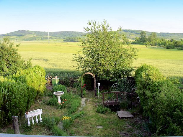 Garten vom Einfamilienhaus