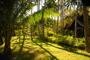 Beach Resort auf der Insel Mindoro