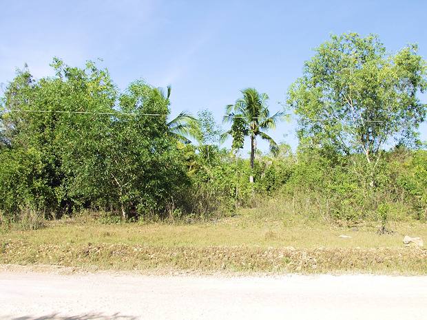 Panglao Island Baugrundstcke zum Kaufen