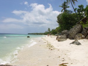 Grundstck nah dem Strand auf Panglao der Philippinen