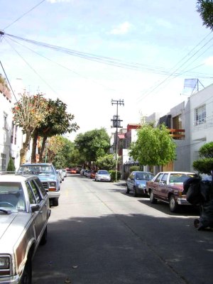 Condesa in Mexico City