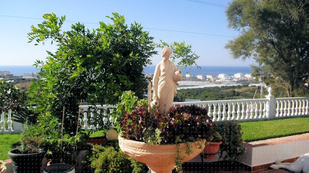 Garten vom Haus mit Meerblick