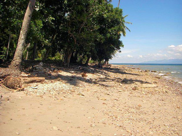 Strandgrundstck von Island Garden City of Samal