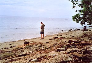 Grundstcke am Meer auf Samal Philippinen