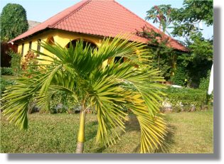 Gambia ferienhaus am Meer zum Kaufen