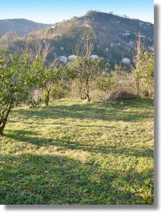 Batumi Grundst�ck in Georgien unweit von Kvariati und Sarpi