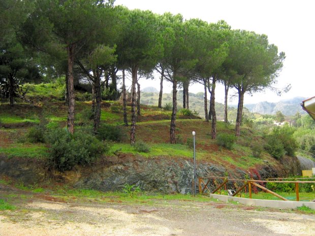 Einfamilienhaus mit Pinienwald Gemeinschaftseigentum aller Huser