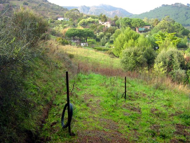 Grundstck vom Einfamilienhaus