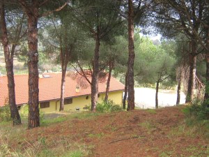 Grundstck vom Einfamilienhaus