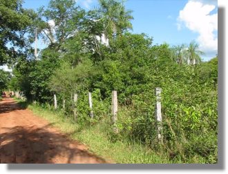 Grundst�ck in Paraguay bei Piribebuy
