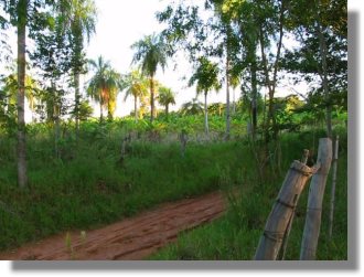 Grundst�ck in Paraguay bei Piribebuy
