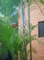 Seitenansicht vom Wohnhaus