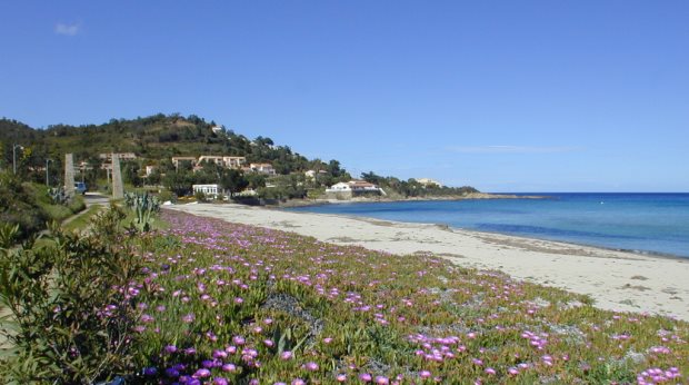 Ferienwohnung auf Korsika in Tarco nah dem Meer