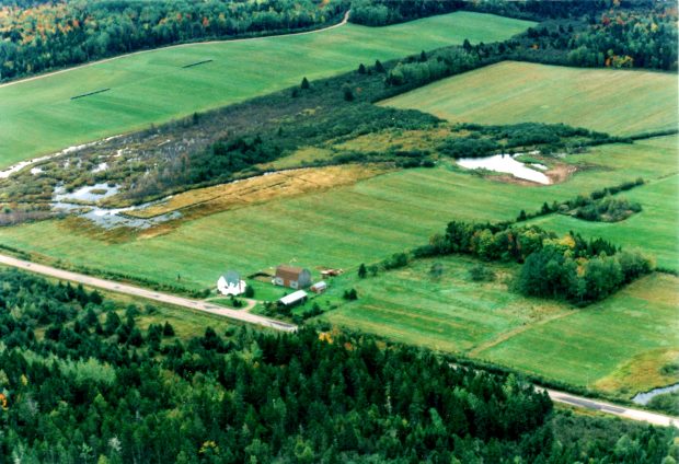 das Grundst�ck vom Wohnhaus in Coburg New Brunswick Kanada