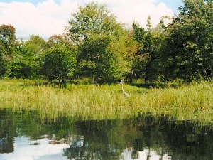 Teich auf dem Grundst�ck vom Wohnhaus