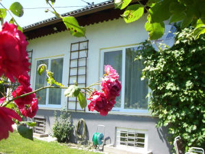 Ferienhaus in Krnten