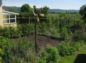 Garten vom Einfamilienhaus