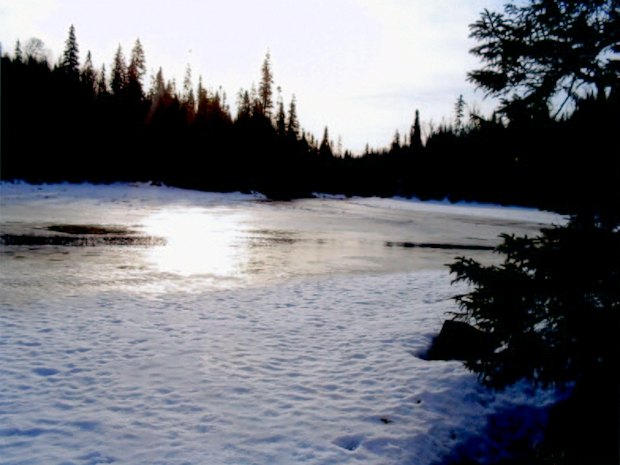 kleiner See auf dem Grundstck