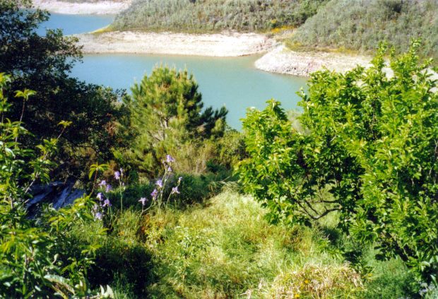 Portugal Grundstck am See - Seegrundstck