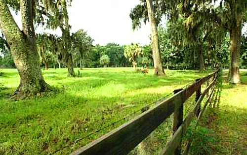 Flugplatz Gelnde Florida