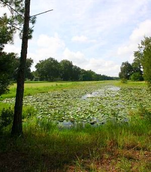 Wasserkanal vom Flugplatz