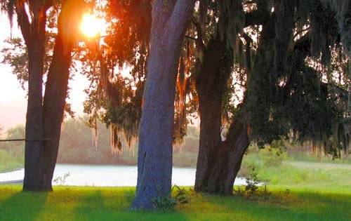 Grundstck vom Privatflugplatz in Florida