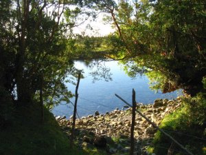 Teich auf dem Grundstck