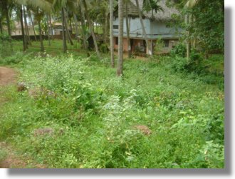 Grundstück in Varkala Indien Grundstück in Varkala Indien