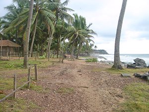 Grundstck nah dem Strand in Varkala Kerala Indien