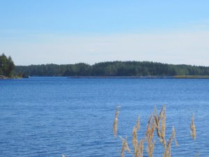 der Orivesi See vor dem Ferienhaus der Orivesi See vor dem Ferienhaus