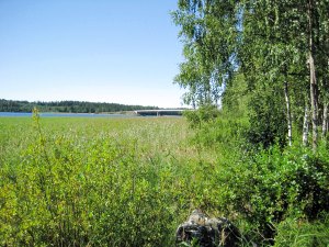 Uferfront vom Ferienhaus Uferfront vom Ferienhaus