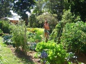Garten vom Einfamilienhaus Garten vom Einfamilienhaus