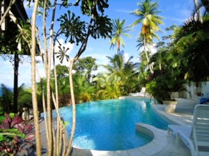 Pool vom Ferienhaus bei Bathsheba Barbados