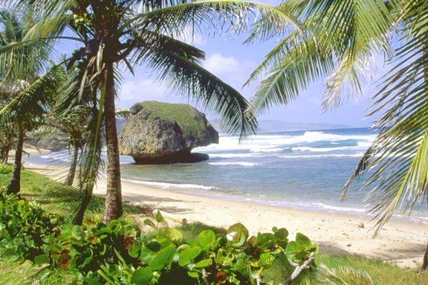 Ferienhaus unweit vom Bathsheba Beach