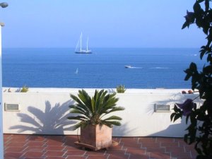 Ausblick vom Apartment