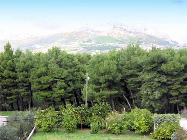 Ausblick Grundstck vom Dreifamilienhaus