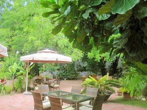 Terrasse der Apartments