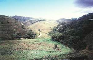 Plantage Fazenda fr Kaffee in Brasilien